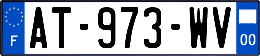 AT-973-WV