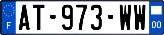 AT-973-WW