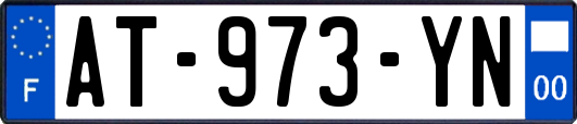 AT-973-YN