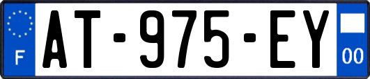 AT-975-EY