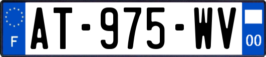 AT-975-WV