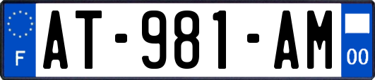 AT-981-AM