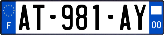 AT-981-AY