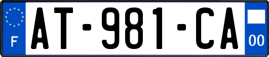 AT-981-CA