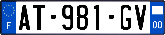 AT-981-GV