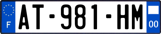 AT-981-HM