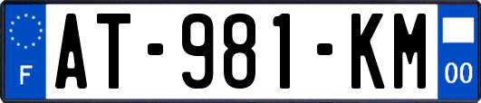 AT-981-KM