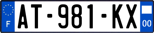 AT-981-KX