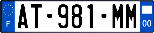 AT-981-MM
