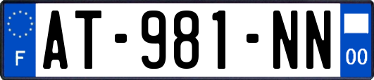 AT-981-NN