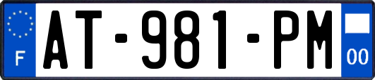 AT-981-PM