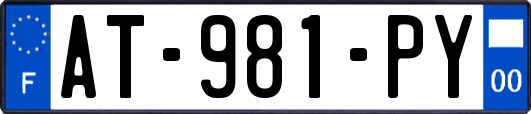 AT-981-PY