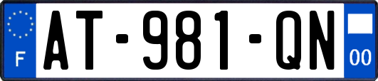 AT-981-QN