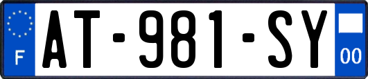 AT-981-SY