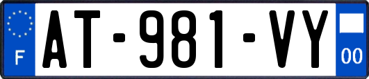 AT-981-VY