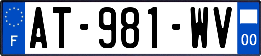 AT-981-WV