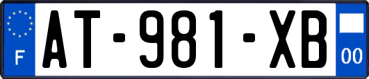 AT-981-XB