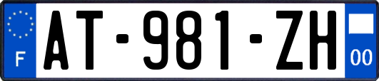 AT-981-ZH