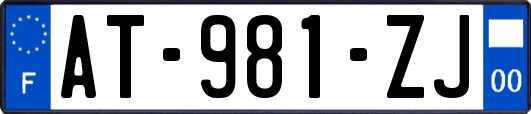 AT-981-ZJ