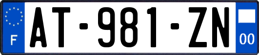 AT-981-ZN