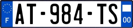 AT-984-TS