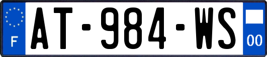 AT-984-WS