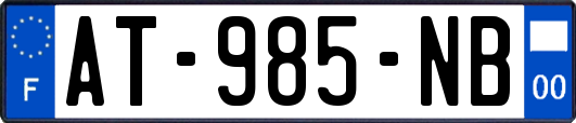 AT-985-NB