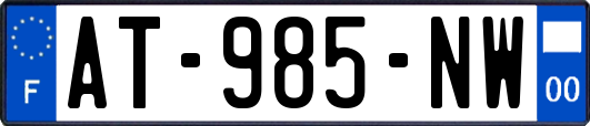 AT-985-NW