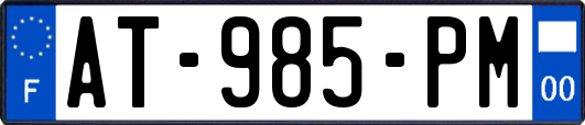 AT-985-PM