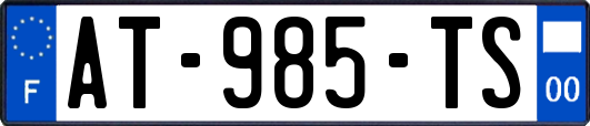 AT-985-TS