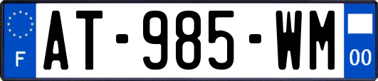 AT-985-WM