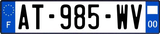 AT-985-WV