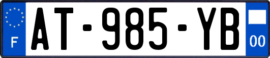 AT-985-YB
