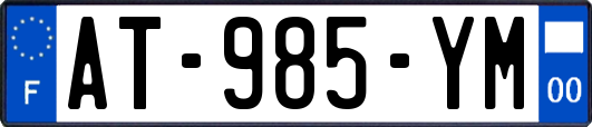 AT-985-YM