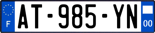 AT-985-YN