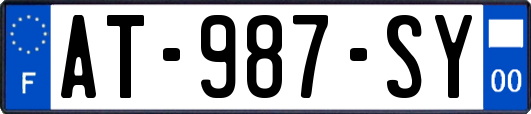 AT-987-SY