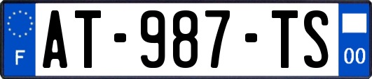 AT-987-TS