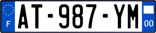 AT-987-YM