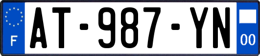 AT-987-YN