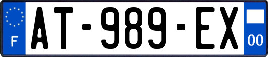 AT-989-EX