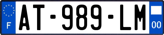 AT-989-LM