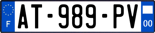 AT-989-PV