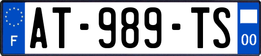 AT-989-TS