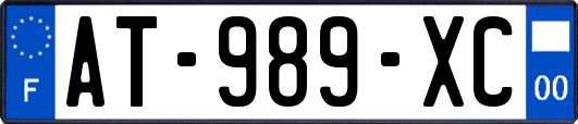 AT-989-XC