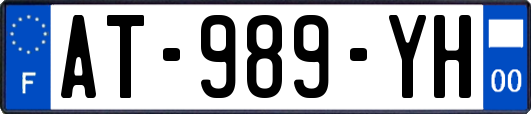 AT-989-YH