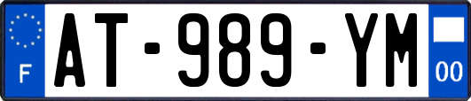 AT-989-YM