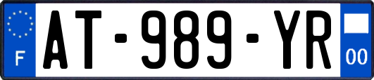 AT-989-YR