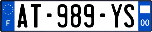 AT-989-YS