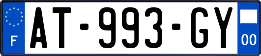 AT-993-GY