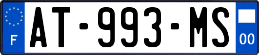 AT-993-MS